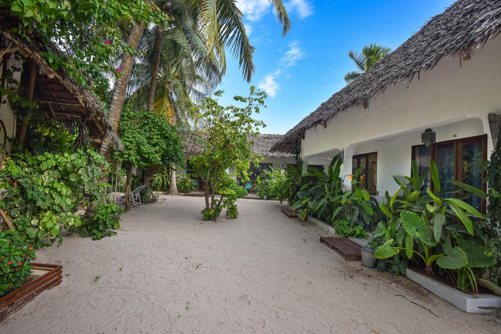 Badolina Bungalows Nungwi Esterno foto